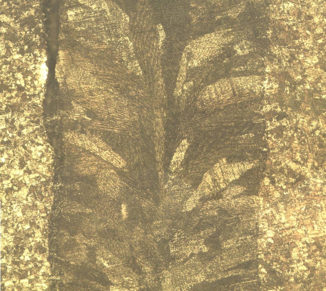 鉴定是上贝氏体么